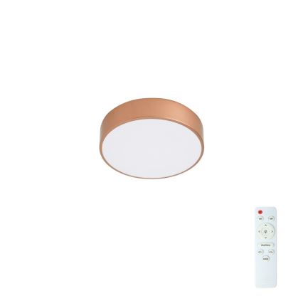 BRILAGI - LED Stmívatelné stropní svítidlo POOL LED/24W/230V 3000-6000K pr. 20 cm měděná + dálkové ovládání