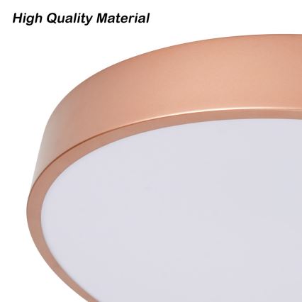 Brilagi - LED Stmívatelné stropní svítidlo POOL LED/60W/230V 3000-6000K pr. 50 cm bronzová + dálkové ovládání