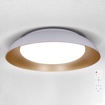Brilagi - LED Stmívatelné stropní svítidlo ALVA LED/48W/230V 3000-6500K pr. 51 cm bílá + dálkové ovládání