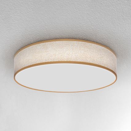 Brilagi - LED Stmívatelné stropní svítidlo CARMEN LED/48W/230V 3000-6500K pr. 40 cm + dálkové ovládání
