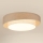 Brilagi - LED Stmívatelné stropní svítidlo DOVER SHINE LED/24W/230V 3000/4000/6500K šedá/krémová + dálkové ovládání