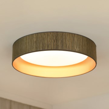 Brilagi - LED Stmívatelné stropní svítidlo DOVER SHINE LED/24W/230V pr. 60 cm 3000/4000/6500K šedá/krémová + dálkové ovládání