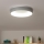 Brilagi - LED Stmívatelné stropní svítidlo FALCON LED/40W/230V 3000-6500K pr. 45 cm šedá + dálkové ovládání