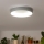 Brilagi - LED Stmívatelné stropní svítidlo FALCON LED/80W/230V 3000-6500K pr. 60 cm šedá + dálkové ovládání