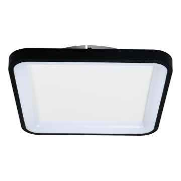 Brilagi - LED Stmívatelné stropní svítidlo FALCON SLIM LED/50W/230V 3000-6500K 50x50 cm černá + dálkové ovládání