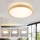 Brilagi - LED Stmívatelné stropní svítidlo GLASS POOL DOUBLE LED/48W/230V 3000-6000K pr. 40 cm dekor dřeva + dálkové ovládání