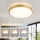 Brilagi - LED Stmívatelné stropní svítidlo GLASS POOL DOUBLE LED/48W/230V 3000-6000K pr. 40 cm zlatá + dálkové ovládání