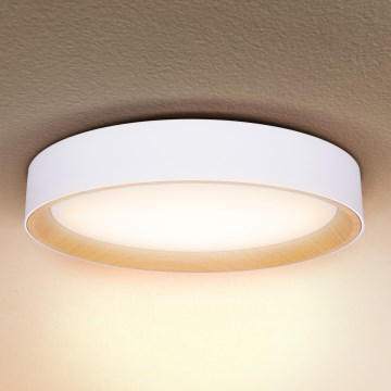 Brilagi - LED Stmívatelné stropní svítidlo LARIOS LED/60W/230V 3000-6500K pr. 49 cm bílá + dálkové ovládání
