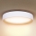 Brilagi - LED Stmívatelné stropní svítidlo LARIOS LED/60W/230V 3000-6500K pr. 49 cm bílá + dálkové ovládání
