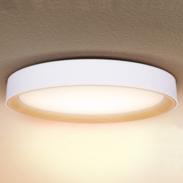 Brilagi - LED Stmívatelné stropní svítidlo LARIOS LED/72W/230V bílá pr. 59 cm + dálkové ovládání