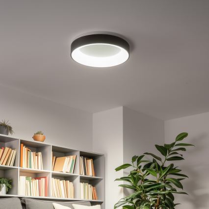 Brilagi - LED Stmívatelné stropní svítidlo FALCON LED/40W/230V 3000-6500K pr. 45 cm černá + dálkové ovládání