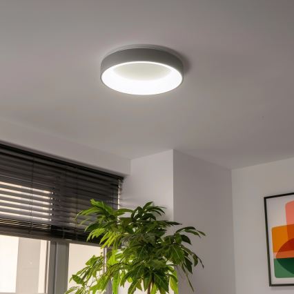 Brilagi - LED Stmívatelné stropní svítidlo FALCON LED/40W/230V 3000-6500K pr. 45 cm šedá + dálkové ovládání