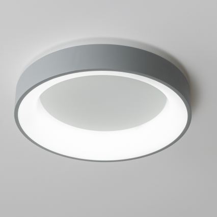 Brilagi - LED Stmívatelné stropní svítidlo FALCON LED/40W/230V 3000-6500K pr. 45 cm šedá + dálkové ovládání