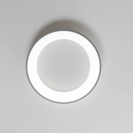 Brilagi - LED Stmívatelné stropní svítidlo FALCON LED/40W/230V 3000-6500K pr. 45 cm šedá + dálkové ovládání