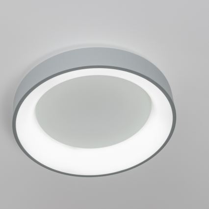 Brilagi - LED Stmívatelné stropní svítidlo FALCON LED/40W/230V 3000-6500K pr. 45 cm šedá + dálkové ovládání