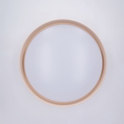 Brilagi - LED Stmívatelné stropní svítidlo LUCIA LED/48W/230V 3000-6500K pr. 41 cm béžová + dálkové ovládání