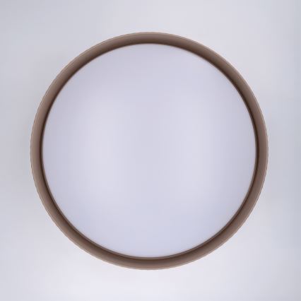 Brilagi - LED Stmívatelné stropní svítidlo LUCIA LED/60W/230V 3000-6500K pr. 59 cm taupe + dálkové ovládání