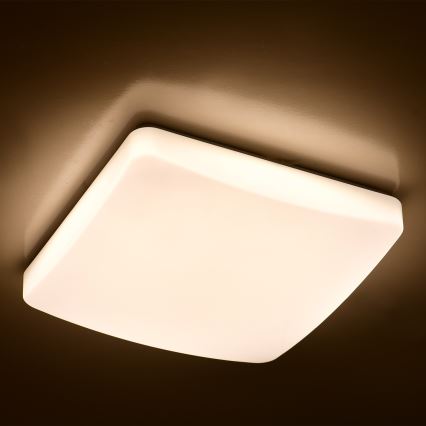 Brilagi - LED Stmívatelné stropní svítidlo MILKY LED/24W/230V + DO 3000K-6500K