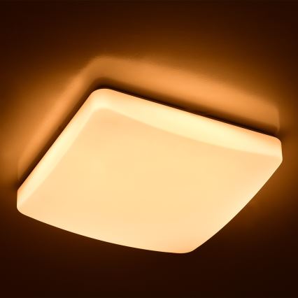 Brilagi - LED Stmívatelné stropní svítidlo MILKY LED/24W/230V + DO 3000K-6500K