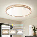 BRILAGI - LED Stmívatelné stropní svítidlo MOLINA LED/100W/230V 3000-6000K dub pr. 80 cm + dálkové ovládání