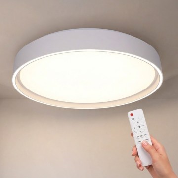 Brilagi - LED Stmívatelné stropní svítidlo NANCI LED/60W/230V 3000-6500K pr. 49 cm bílá + dálkové ovládání