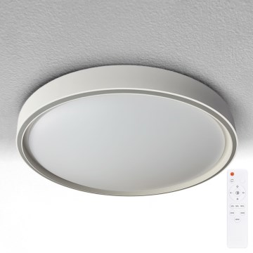 Brilagi - LED Stmívatelné stropní svítidlo NANCI LED/60W/230V 3000-6500K pr. 49 cm stříbrná + dálkové ovládání