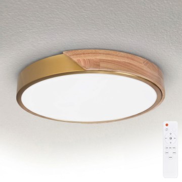 BRILAGI - LED Stmívatelné stropní svítidlo PILANA LED/48W/230V 3000-6500K dub/zlatá pr. 40 cm + dálkové ovládání