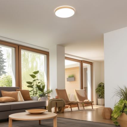 Brilagi - LED Stmívatelné stropní svítidlo PINE LED/24W/230V pr. 42 cm 3000-6500K + dálkové ovládání