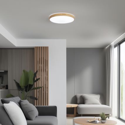 Brilagi - LED Stmívatelné stropní svítidlo PINE LED/24W/230V pr. 42 cm 3000-6500K + dálkové ovládání