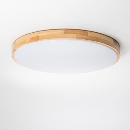 Brilagi - LED Stmívatelné stropní svítidlo PINE LED/60W/230V 3000-6500K + dálkové ovládání