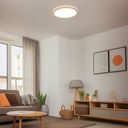 Brilagi - LED Stmívatelné stropní svítidlo PINE LED/60W/230V 3000-6500K + dálkové ovládání