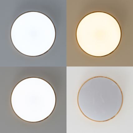 Brilagi - LED Stmívatelné stropní svítidlo PINE LED/60W/230V 3000-6500K + dálkové ovládání