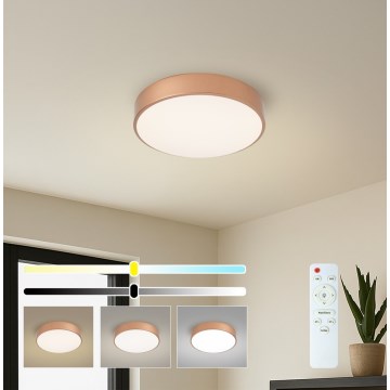 Brilagi - LED Stmívatelné stropní svítidlo POOL LED/36W/230V 3000-6000K pr. 30 cm bronzová + dálkové ovládání