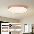Brilagi - LED Stmívatelné stropní svítidlo POOL SMART LED/100W/230V 3000-6000K pr. 80 cm Wi-Fi Tuya bronzová + dálkové ovládání