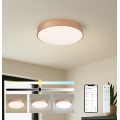 BRILAGI - LED Stmívatelné stropní svítidlo POOL SMART LED/48W/230V 3000-6000K pr. 40 cm Wi-Fi Tuya měděná + dálkové ovládání