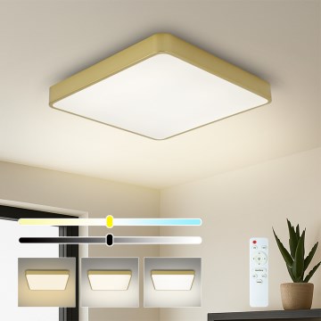 Brilagi - LED Stmívatelné stropní svítidlo POOL SQUARE LED/36W/230V 3000-6000K 40x40 cm zlatá + dálkové ovládání