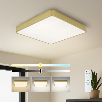 Brilagi - LED Stmívatelné stropní svítidlo POOL SQUARE LED/48W/230V 3000-6000K 50x50 cm zlatá + dálkové ovládání