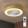 Brilagi - LED Stmívatelné stropní svítidlo s ventilátorem LED/38W/230V 3000-6500K 3000-6500K pr. 50 cm zlatá + dálkové ovládání
