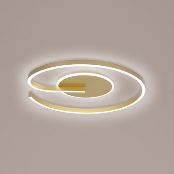 Brilagi - LED Stmívatelné stropní svítidlo SPIRAL LED/56W/230V 3000/4000/6000K + dálkové ovládání