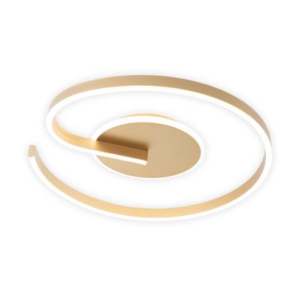 Brilagi - LED Stmívatelné stropní svítidlo SPIRAL LED/56W/230V pr. 50 cm 3000/4000/6000K + dálkové ovládání