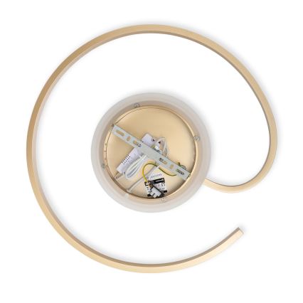 Brilagi - LED Stmívatelné stropní svítidlo SPIRAL LED/56W/230V pr. 50 cm 3000/4000/6000K + dálkové ovládání