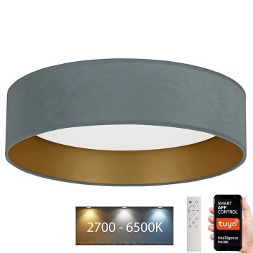 Brilagi - LED Stmívatelné stropní svítidlo VELVET SMART LED/24W/230V pr. 45 cm 2700-6500K Wi-Fi Tuya mintová/zlatá + dálkové ovládání