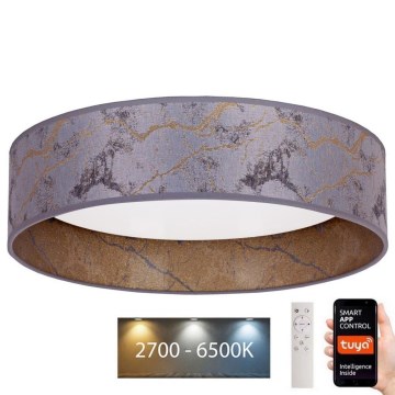 Brilagi - LED Stmívatelné stropní svítidlo VELVET SMART LED/36W/230V pr. 55 cm 2700-6500K Wi-Fi Tuya šedá/zlatá + dálkové ovládání
