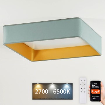 Brilagi - LED Stmívatelné stropní svítidlo VELVET SQUARE SMART LED/36W/230V 2700-6500K Wi-Fi Tuya + dálkové ovládání mintová