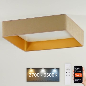 Brilagi - LED Stmívatelné stropní svítidlo VELVET SQUARE SMART LED/36W/230V 60x60 cm 2700-6500K Wi-Fi Tuya + dálkové ovládání béžová