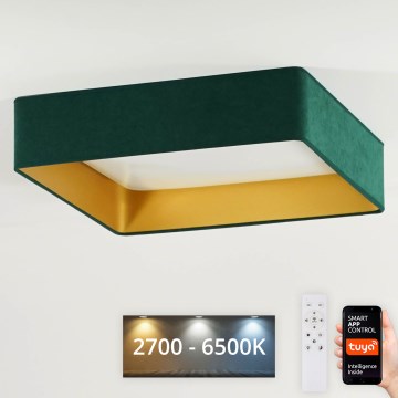Brilagi - LED Stmívatelné stropní svítidlo VELVET SQUARE SMART LED/36W/230V 60x60 cm 2700-6500K Wi-Fi Tuya + dálkové ovládání zelená