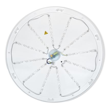 Brilagi - LED Stmívatelné stropní svítidlo ALSON LED/72W/230V 3000-6500K dub pr. 78 cm + dálkové ovládání