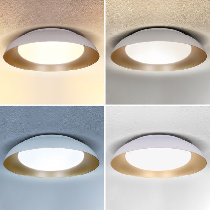 Brilagi - LED Stmívatelné stropní svítidlo ALVA LED/48W/230V 3000-6500K pr. 51 cm bílá + dálkové ovládání