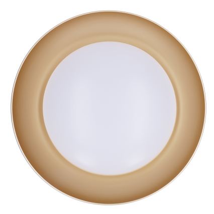 Brilagi - LED Stmívatelné stropní svítidlo ALVA LED/48W/230V 3000-6500K pr. 51 cm bílá + dálkové ovládání