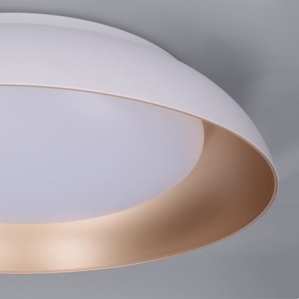 Brilagi - LED Stmívatelné stropní svítidlo ALVA LED/48W/230V 3000-6500K pr. 51 cm bílá + dálkové ovládání